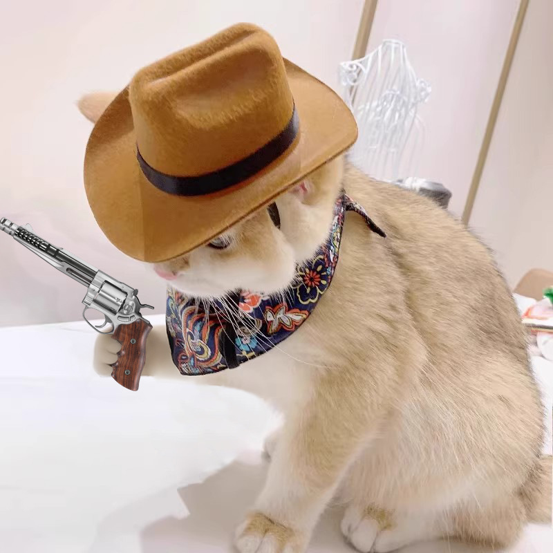  Cat Cowboy Hat Pet Head Acce - Cowboy Hat Straw のレビューと価格