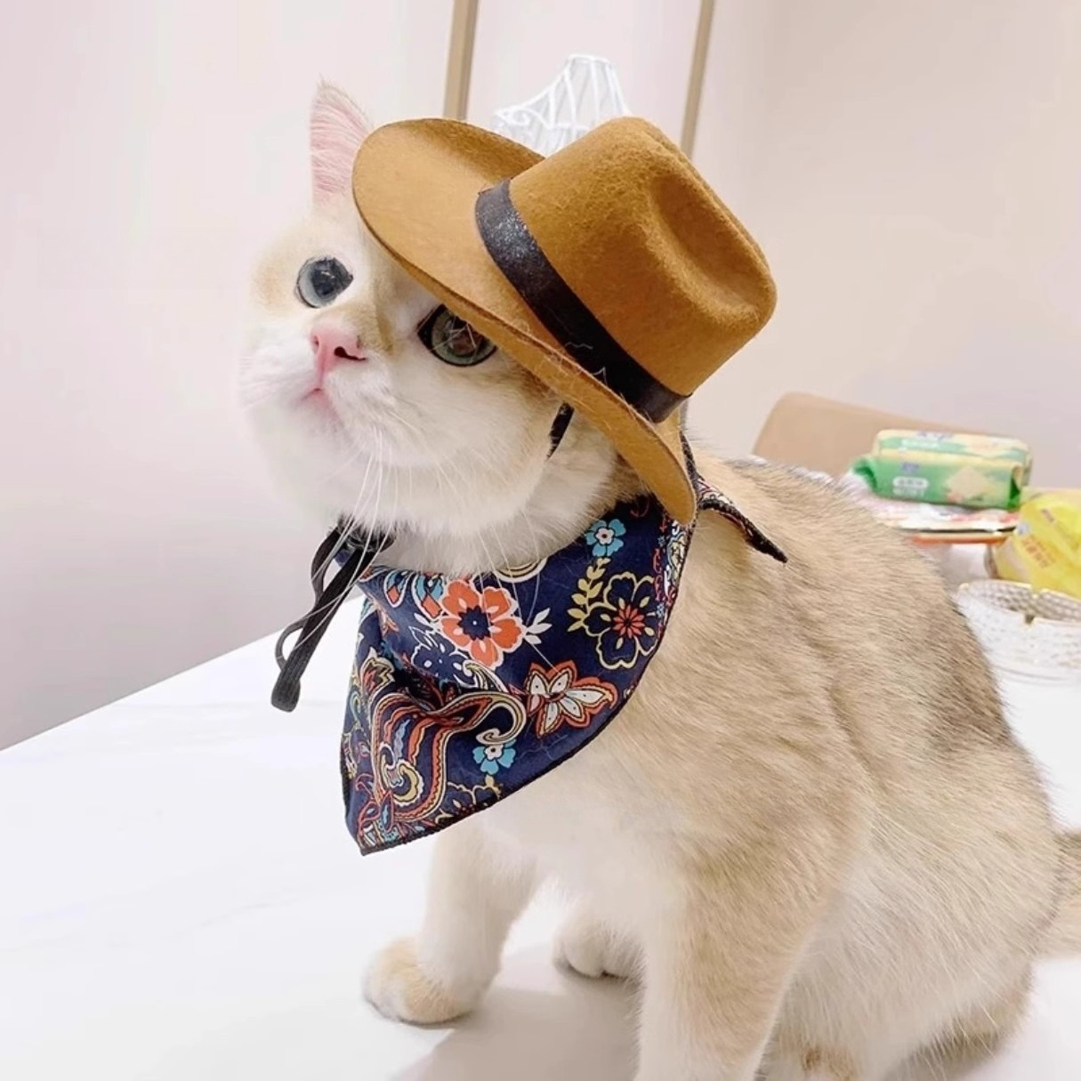  Cat Cowboy Hat Pet Head Acce - Cowboy Hat Straw のレビューと価格